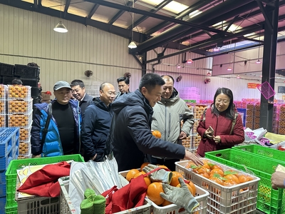 奉節(jié)臍橙產業(yè)協(xié)會赴沈陽地利批發(fā)市場考察調研