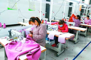 丹陽聯(lián)村黨委實踐 圍繞主導(dǎo)產(chǎn)業(yè)發(fā)展集體經(jīng)濟，提升農(nóng)副產(chǎn)品競爭力